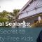Dental Sealants: The Secret to Cavity-Free Kids (featured image)